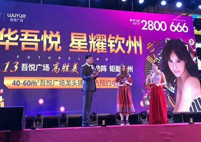 歌声中的时光回廊:高胜美钦州之夜