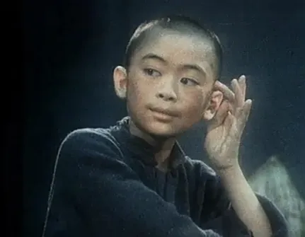 樊少皇照片